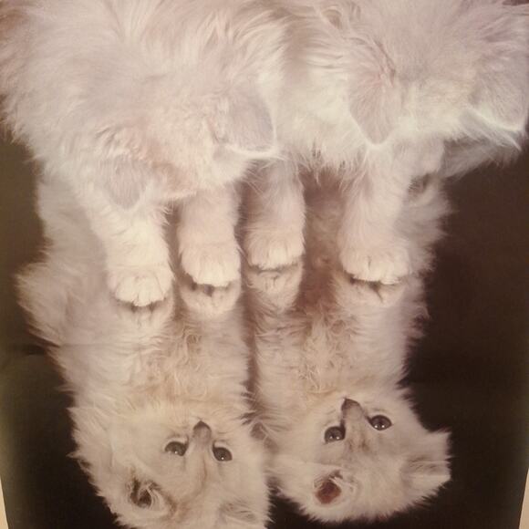 AAG PC0986 "Here's Looking At You" Poster 1990 - Picture 3 of 5